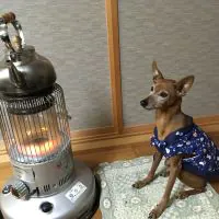 スタディング宅建士講座合格者