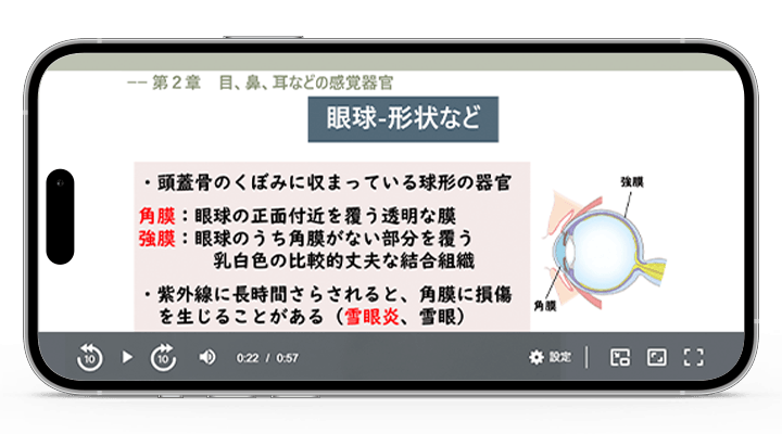 スタディング 登録販売者講座　イメージ
