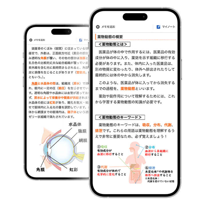 WEBテキスト