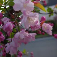 建築士試験 合格者