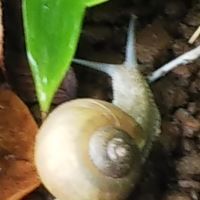 建築士試験 合格者