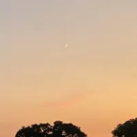 スタディング宅建士講座合格者