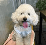 合格者画像
