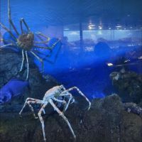 情報セキュリティマネジメント2025年合格