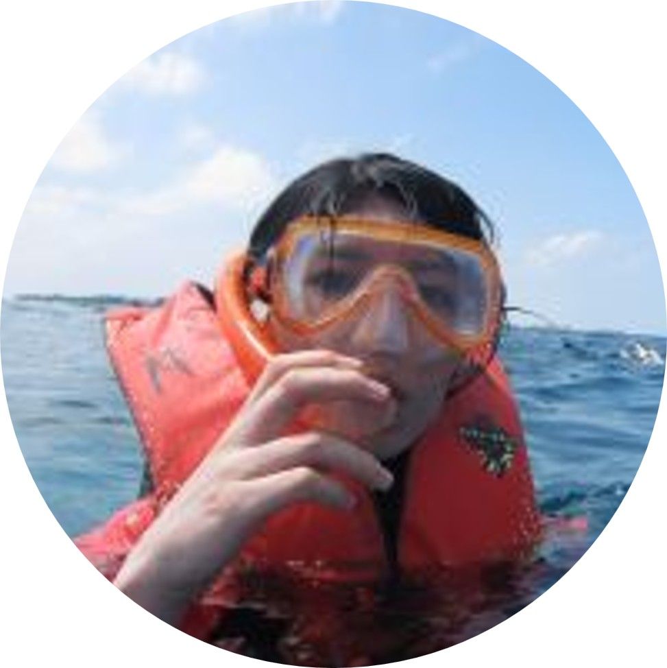 応用情報技術者2025年合格