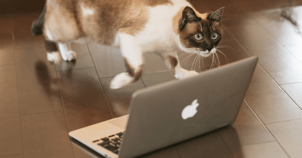 試験に役立つ本の紹介『技術士ハンドブック (第2版)』・公益社団法人