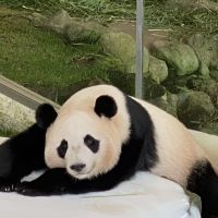 合格者画像
