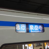 合格者画像