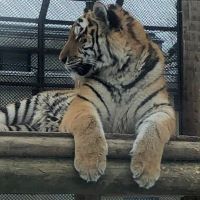 合格者画像
