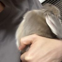 合格者画像