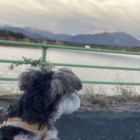 合格者画像