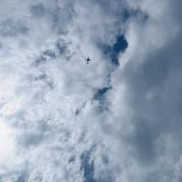 合格者画像