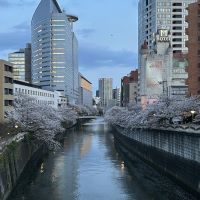 建築士試験 合格者