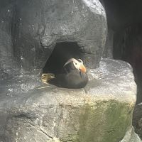 建築士試験 合格者