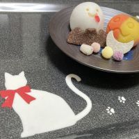 建築士試験 合格者