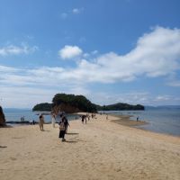 建築士試験 合格者