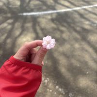 建築士試験 合格者
