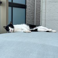 建築士試験 合格者