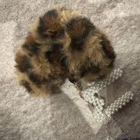 建築士試験 合格者