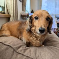 建築士試験 合格者