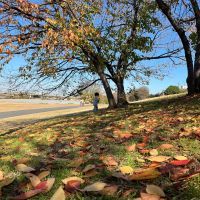 建築士試験 合格者
