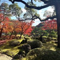 建築士試験 合格者