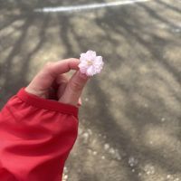 建築士試験 合格者