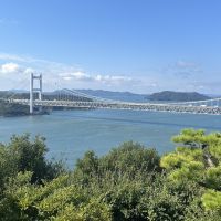 建築士試験 合格者