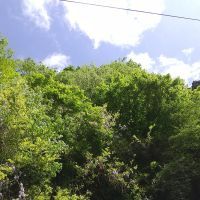 建築士試験 合格者