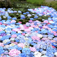 建築士試験 合格者