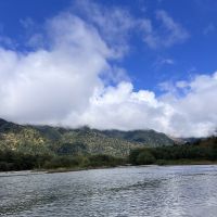 建築士試験 合格者