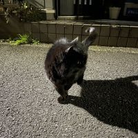 合格者画像