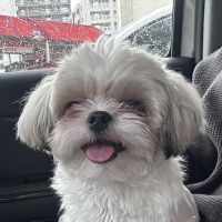 合格者画像