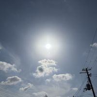 合格者画像