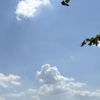 合格者画像