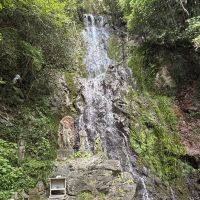 合格者画像