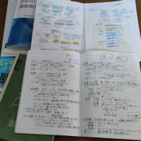 合格者画像