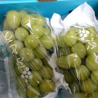 合格者画像