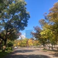 合格者画像