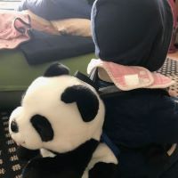 合格者画像