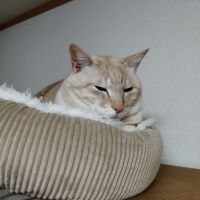 合格者画像