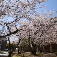 合格者画像