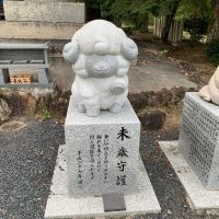 合格者画像