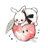 合格者画像