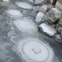 合格者画像