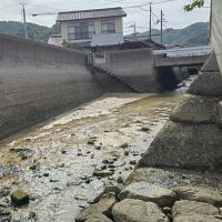 合格者画像