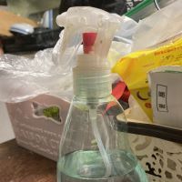 合格者画像