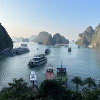 合格者画像
