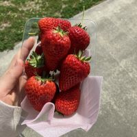 合格者画像