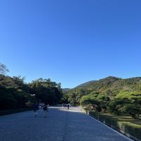 合格者画像